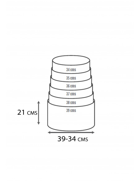 Pack 6 Pantallas Personalizables