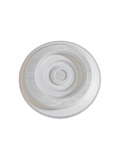 Plafón Roma madera blanca 2