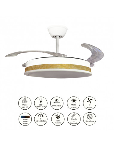 Ventilador retráctil Vera Thelma Oro