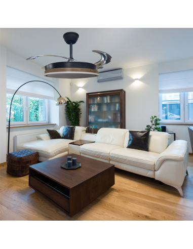 Ventilador retráctil Vera Negro...