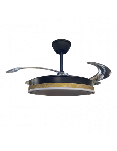 Ventilador retráctil Vera Negro Thelma Oro